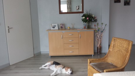 bebo vloeren ervaringen bebo parket vriezenveen vloeren 169 ervaringen reviews bebo vloeren ervaringen bebo parket vriezenveen vloeren 169 ervaringen reviews