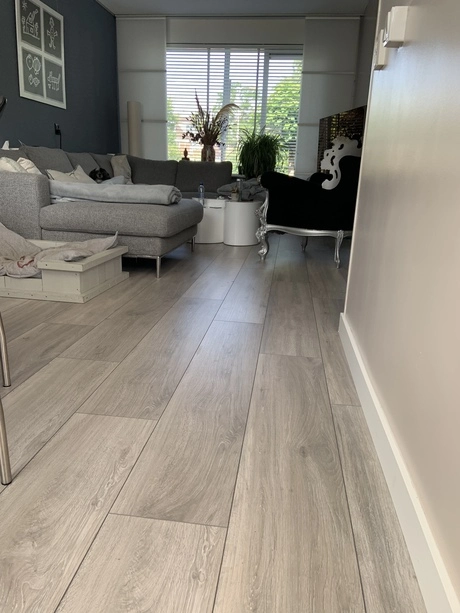 hedendaagse woonkamer met grijze meubels en planten