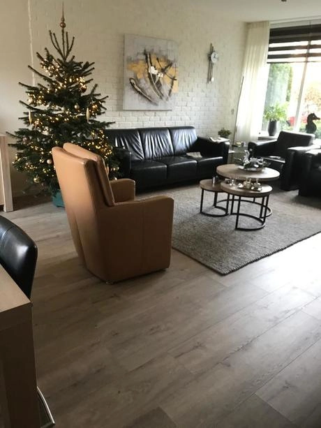 kerstboom in woonkamer met moderne meubels geplaatst