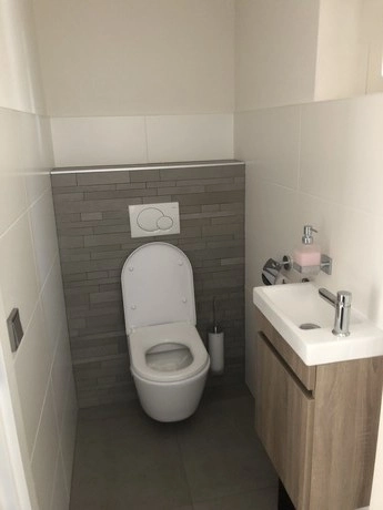 kleine badkamer met toilet en wastafel