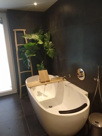 moderne badkamer met vrijstaand bad en plant
