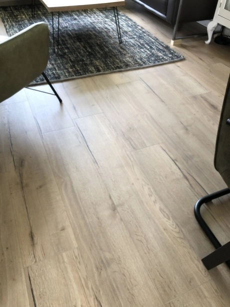moderne woonkamer met houten vloer en tapijt