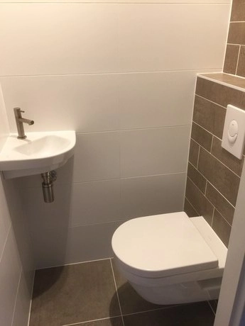 kleine badkamer met toilet en wastafel