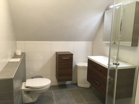 moderne badkamer met douche en houten meubels