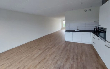 leeg appartement met keuken en houten vloer