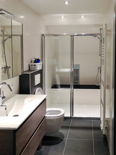 moderne badkamer met douche en wastafel