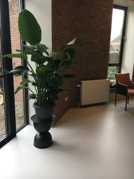 gladde gietvloer in moderne woonkameromgeving