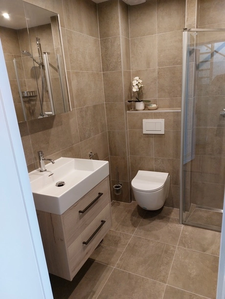 kleine badkamer met moderne inrichting en douche