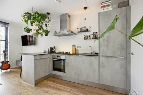 moderne keuken met planten en een gitaar