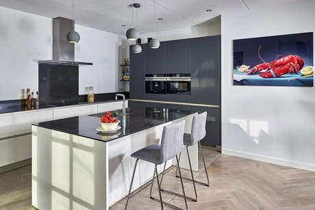 moderne keuken met schilderij van een kreeft
