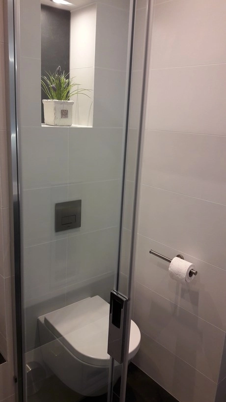 toilet met glazen deur en decoratieve plant