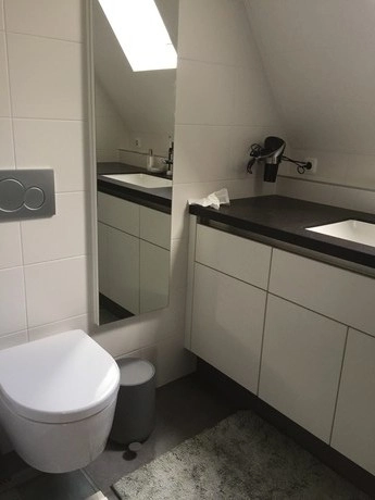 moderne badkamer met toilet en wastafel