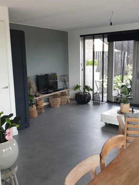 moderne woonkamer met planten en houten meubels