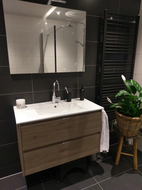 moderne badkamer met wastafel en spiegel aanwezig