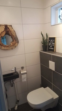 kleine badkamer met spiegel en cactusdecoratie
