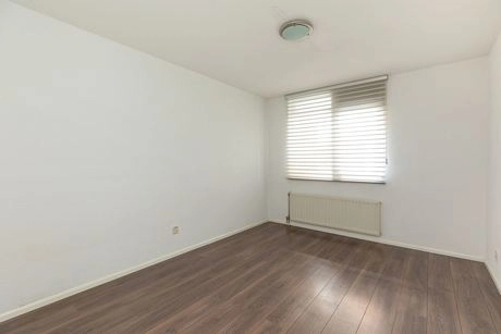 lege kamer met houten vloer en wit plafond