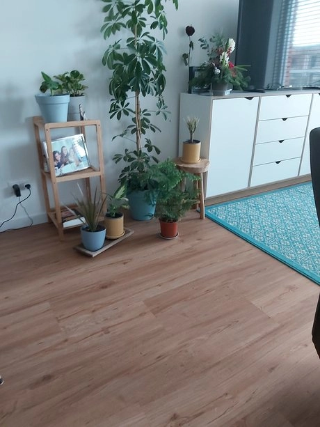 kamer met planten en een blauwe mat