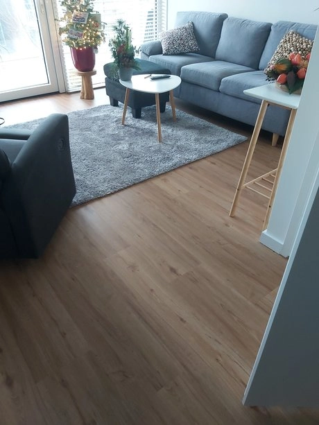 moderne woonkamer met kerstboom en grijze bank