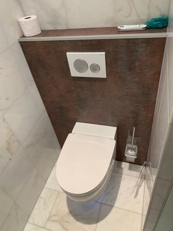 wit toilet met borstel en toiletpapierrol