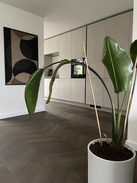 donkere houten vloer in moderne keukenruimte