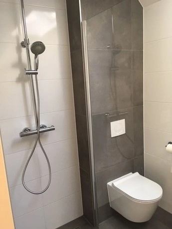 douche en toilet in kleine badkamer ruimte