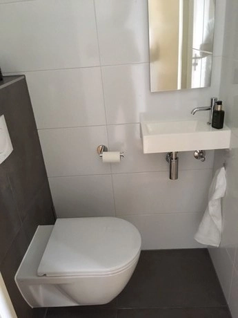 kleine badkamer met wastafel en toilet