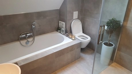 moderne badkamer met ligbad toilet en plant