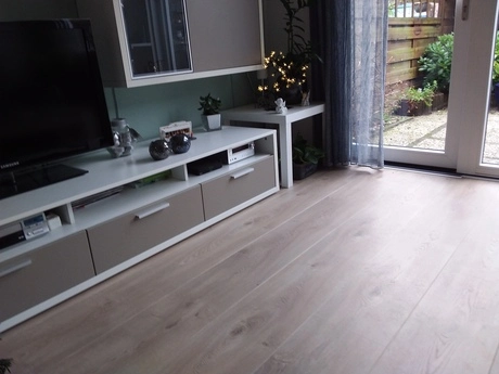 moderne woonkamer met houten vloer en planten
