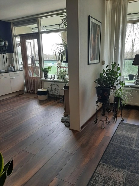 lichte woonkamer met planten en grote ramen