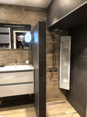 moderne badkamer met een regendouche en wastafel
